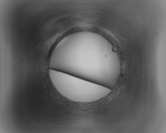 X0000102410917200808011013