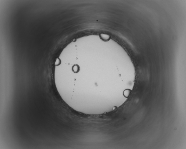 X0000102410918200808011013