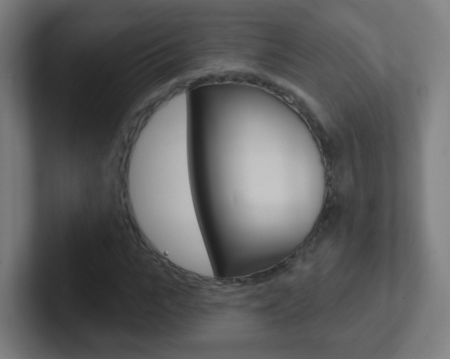 X0000102410919200808011013