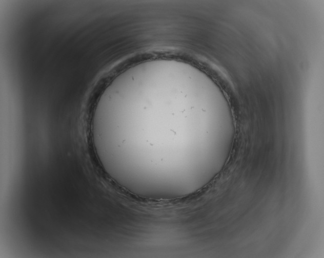 X0000102410920200808011013