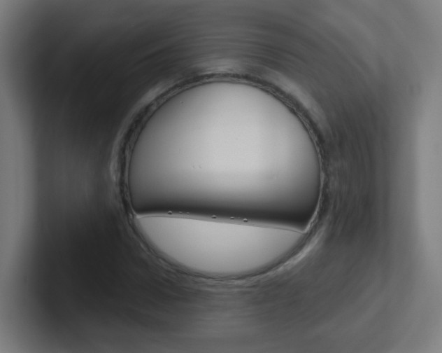 X0000102410922200808011013