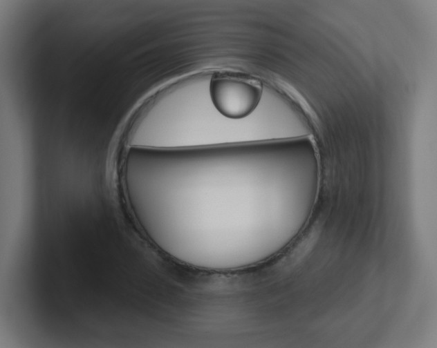 X0000102410923200808011013
