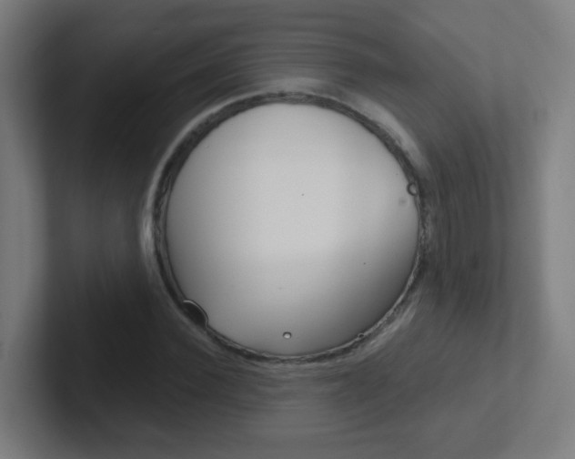 X0000102410924200808011013