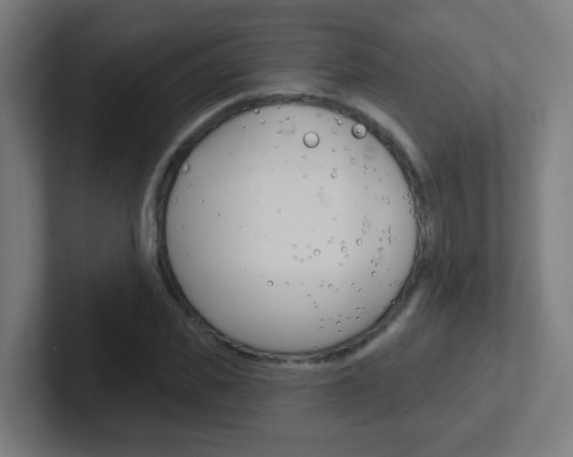 X0000102410925200808011013