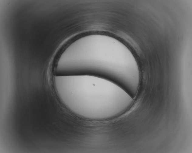 X0000102410926200808011013