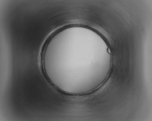 X0000102410927200808011013