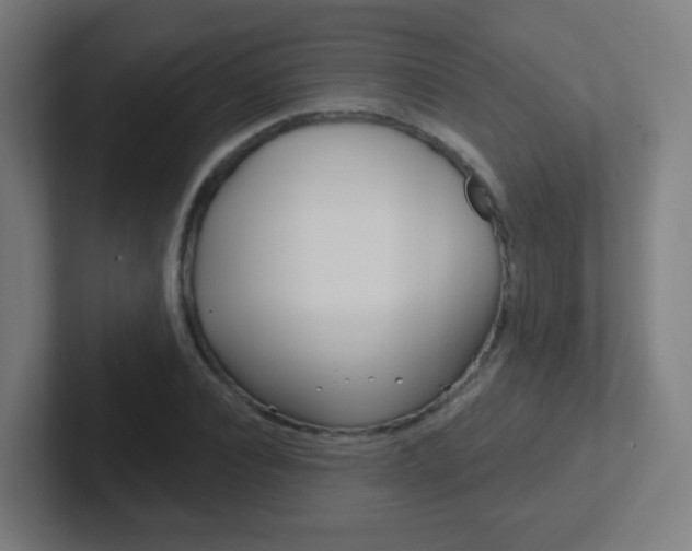 X0000102410928200808011013