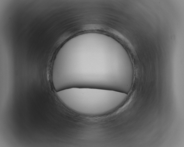 X0000102410929200808011013