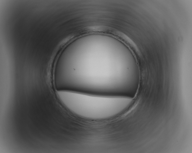 X0000102410930200808011013