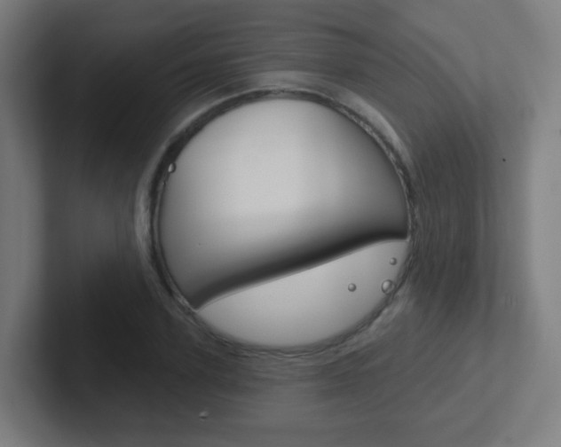 X0000102410931200808011013