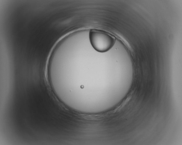 X0000102410932200808011013