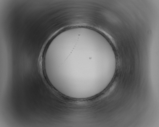 X0000102410933200808011013