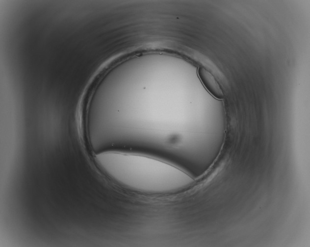 X0000102410934200808011013