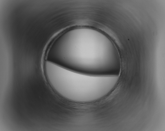 X0000102410935200808011013