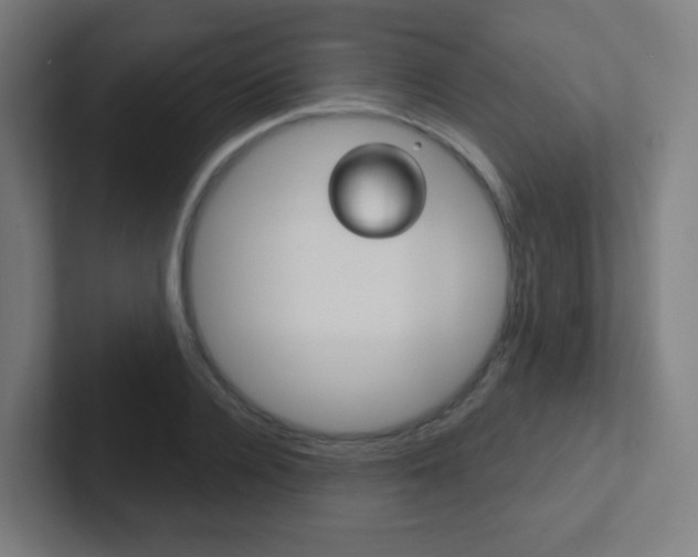 X0000102410936200808011013