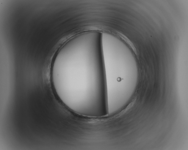 X0000102410938200808011013