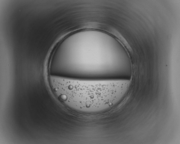 X0000102410939200808011013