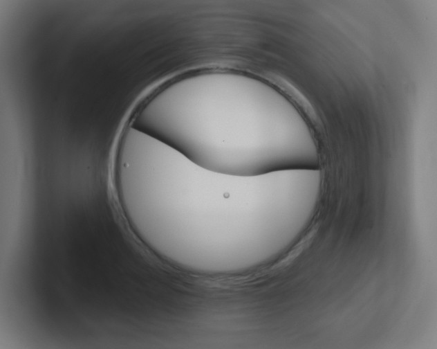 X0000102410940200808011013