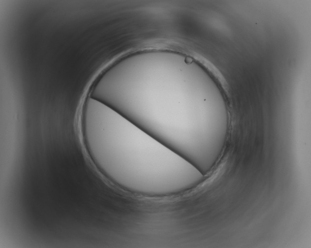 X0000102410941200808011013