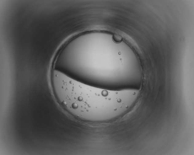 X0000102410942200808011013