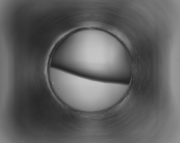 X0000102410943200808011013