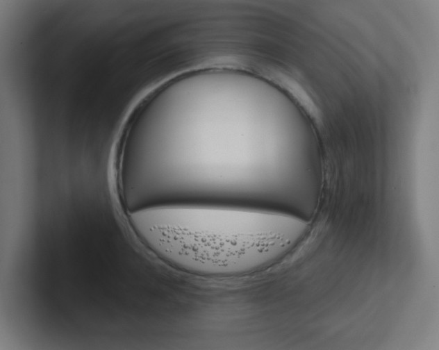 X0000102410944200808011013