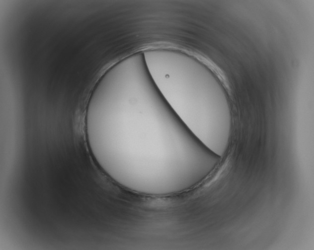 X0000102410945200808011013