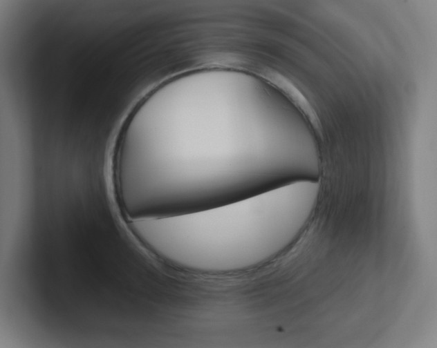 X0000102410947200808011013