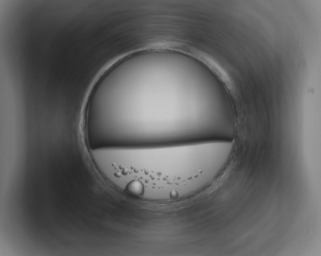 X0000102410948200808011013