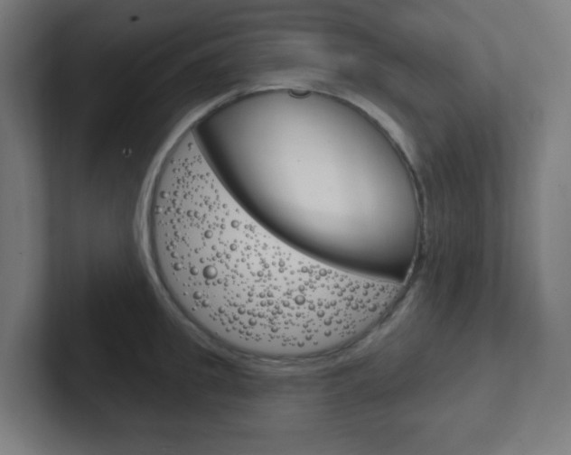 X0000102410949200808011013