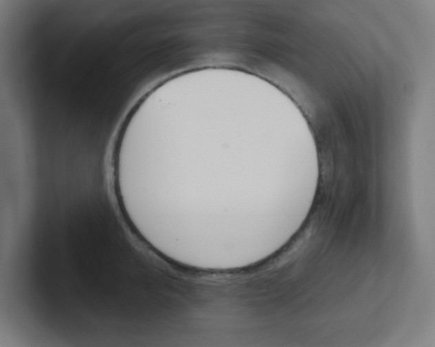 X0000102410950200808011013