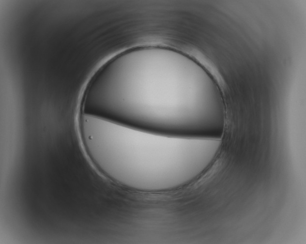 X0000102410951200808011013