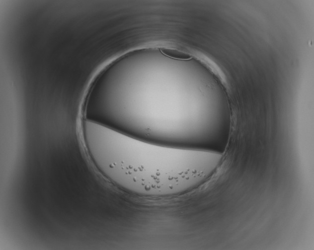 X0000102410952200808011013