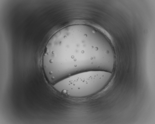 X0000102410953200808011013