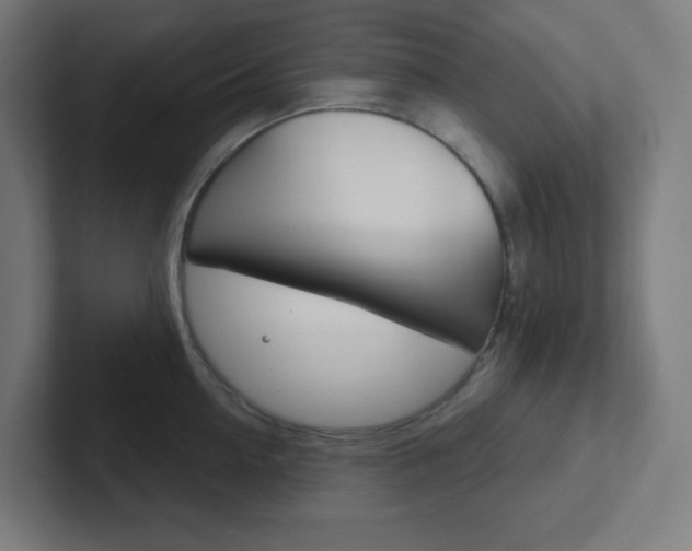 X0000102410954200808011013
