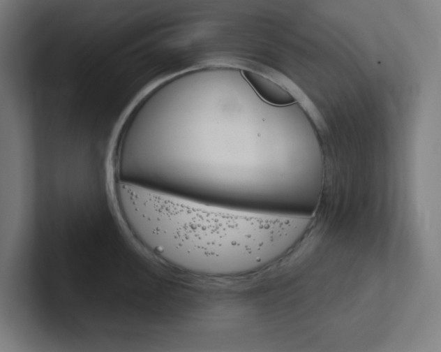X0000102410955200808011013