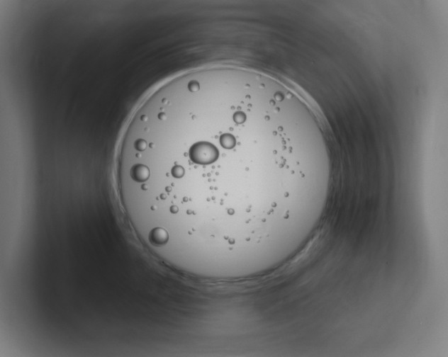 X0000102410956200808011013