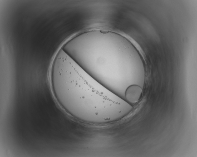 X0000102410957200808011013