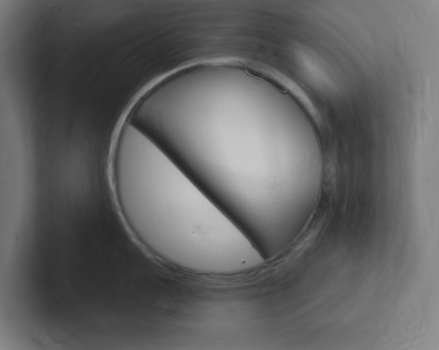 X0000102410959200808011013