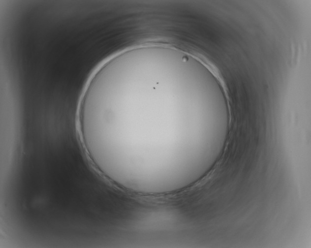 X0000102410960200808011013