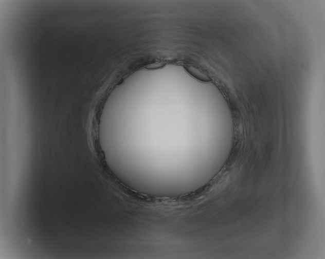 X0000102410961200808011013