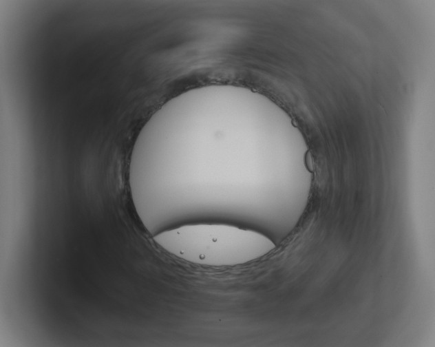 X0000102410962200808011013