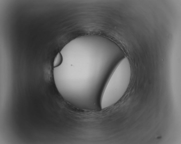 X0000102410963200808011013