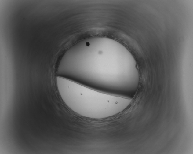 X0000102410964200808011013