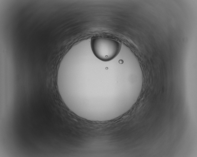 X0000102410965200808011013