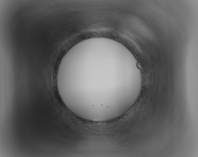 X0000102410966200808011013