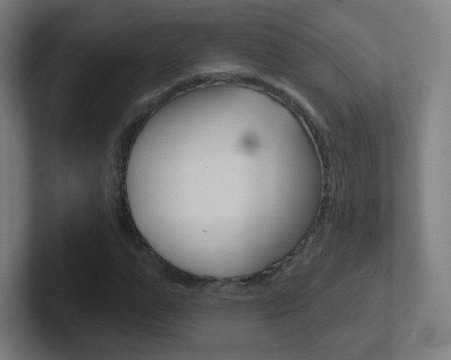 X0000102410967200808011013