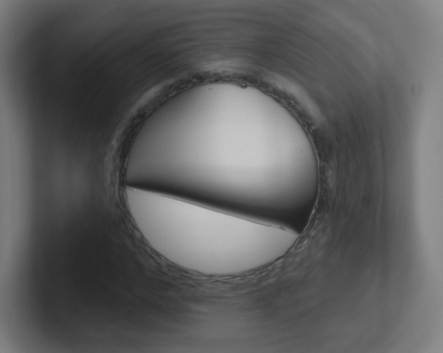 X0000102410968200808011013