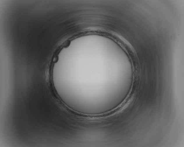 X0000102410969200808011013