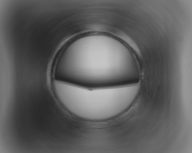 X0000102410972200808011013